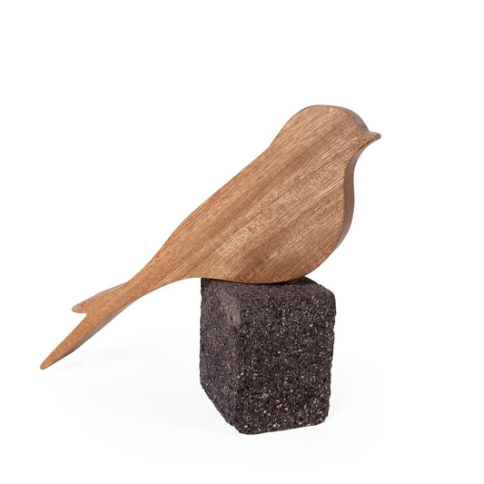 Ave golondrina