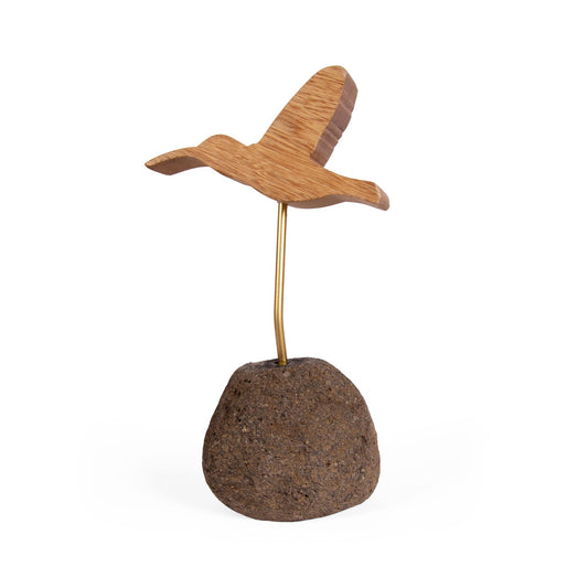 Ave colibrí