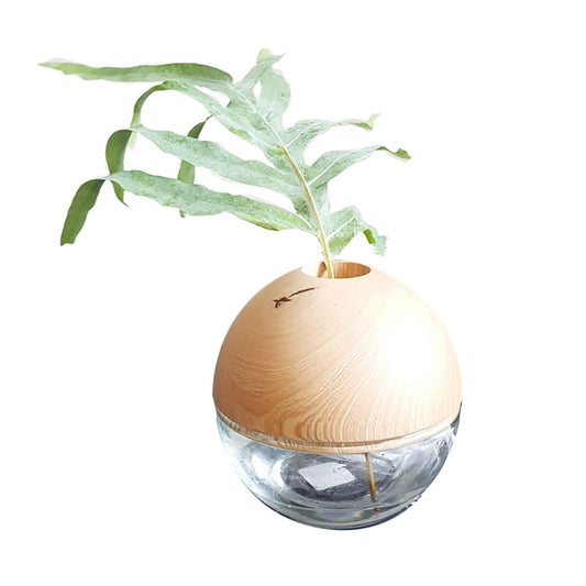 Florero Pinzón